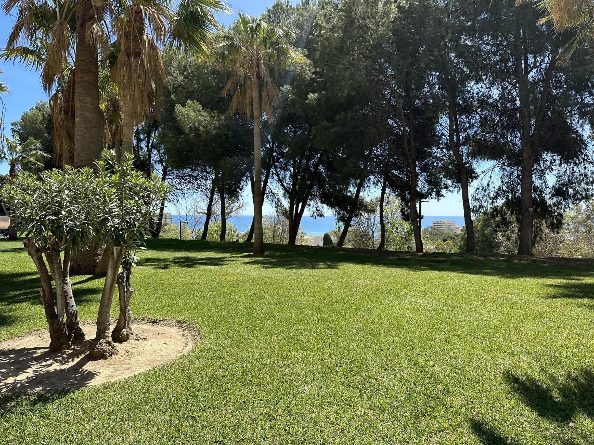 Estudio Agata Con Piscina A 800M De La Playa Benalmádena Buitenkant foto